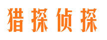 城中市调查公司